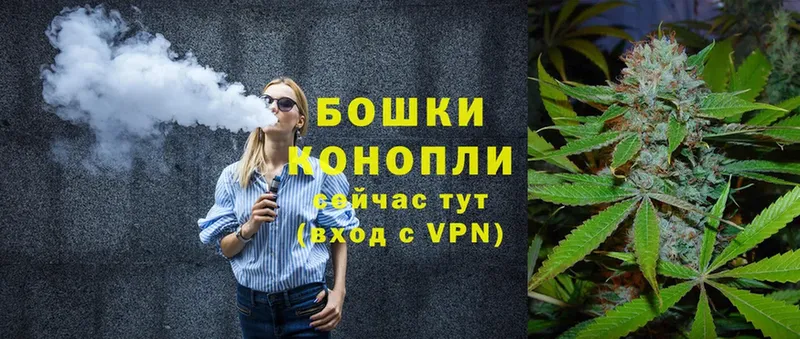 Бошки Шишки THC 21%  купить наркотик  Кирсанов 